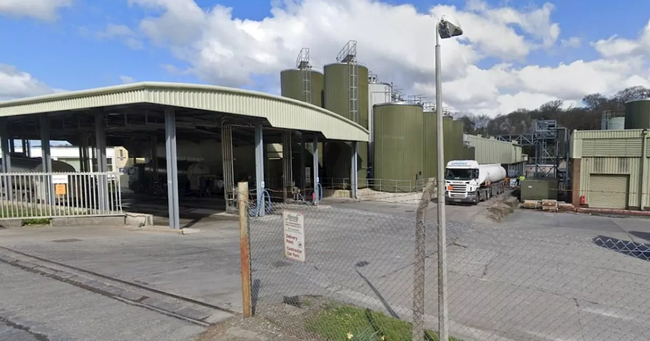 Wales cheese factory: Cheesed off residents complain of dairy smell