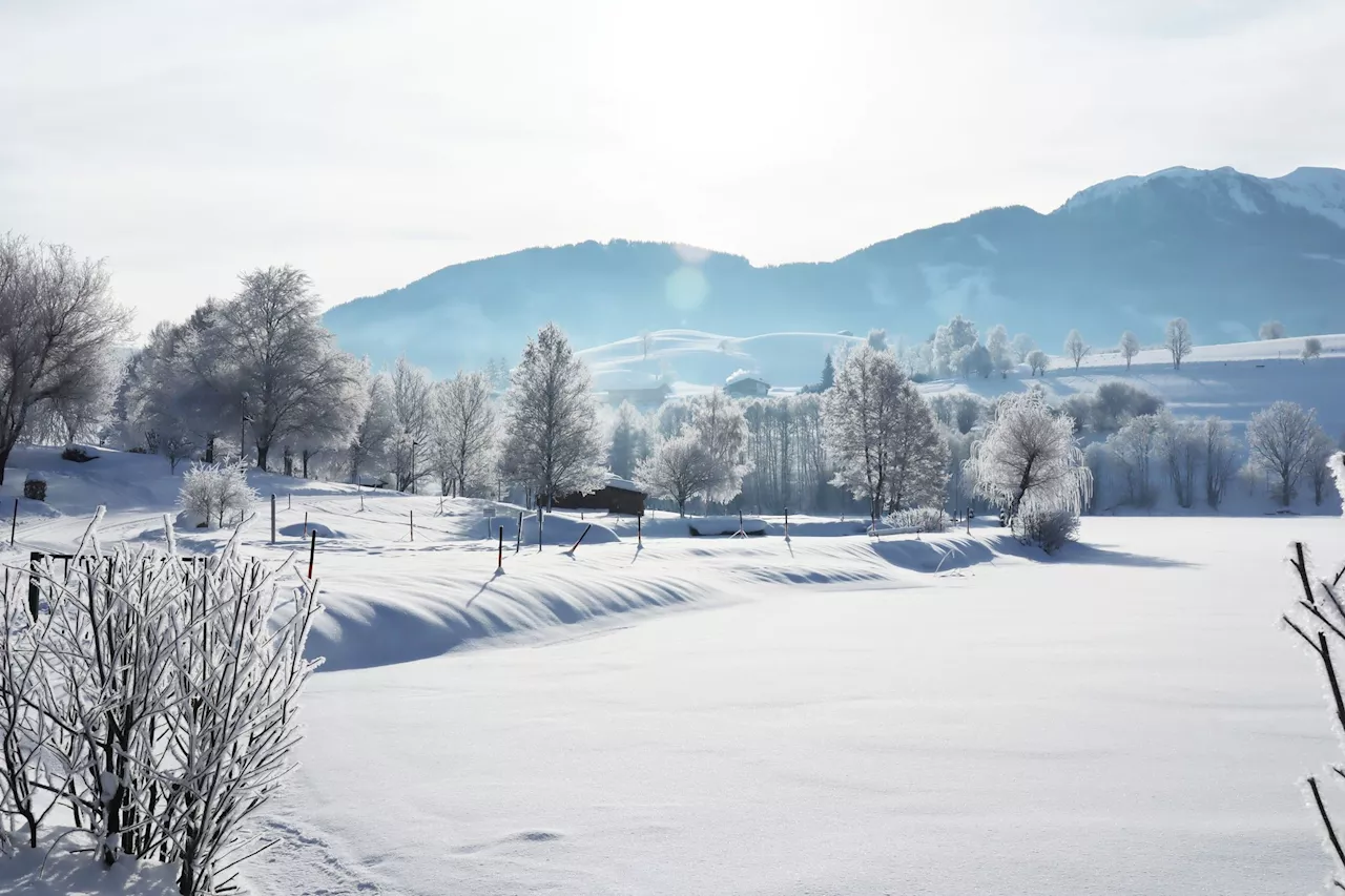 «Lonely Planet»: Deutschland 2024 keine Reise wert