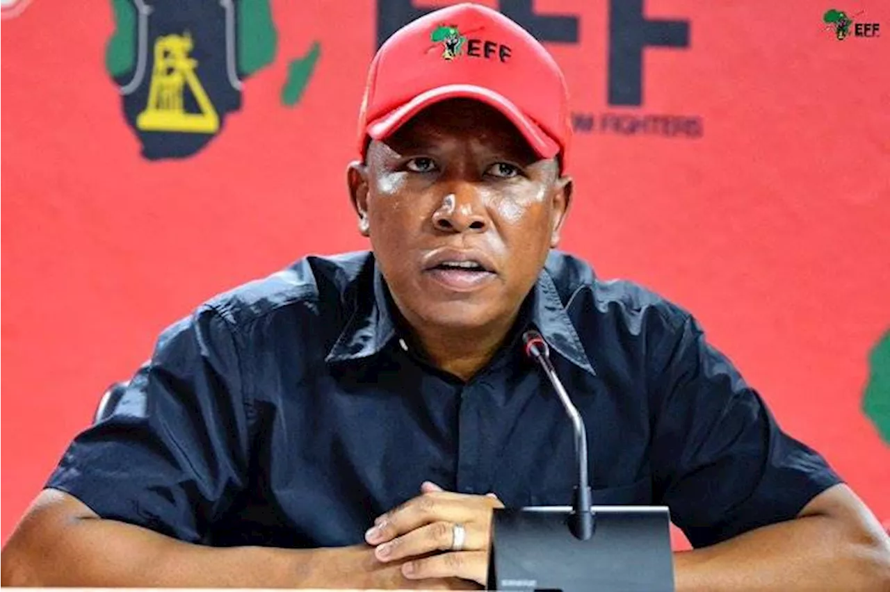 | Julius Malema despises judges – so why is he empowered to appoint them?