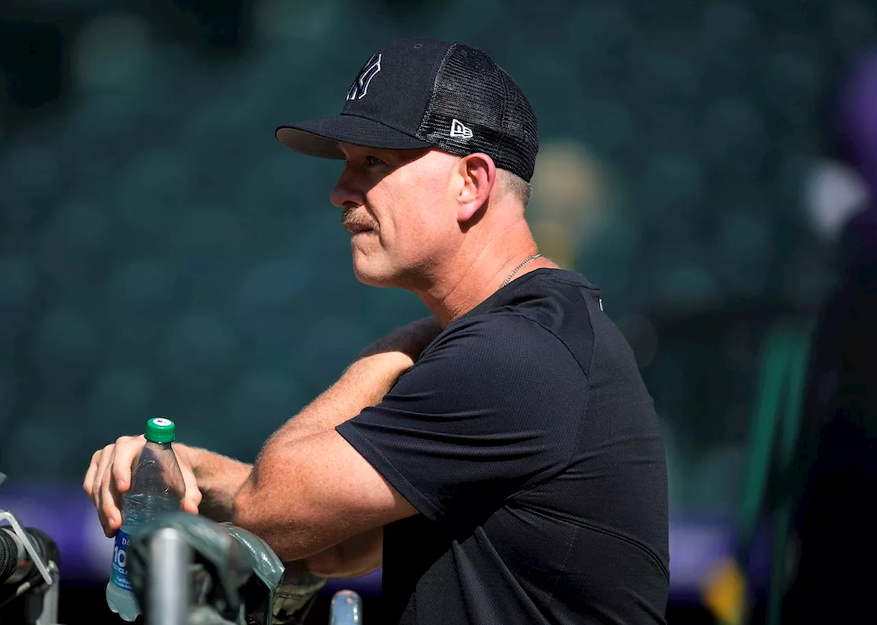 What Yankees should look for in next hitting coach, replacing Sean Casey