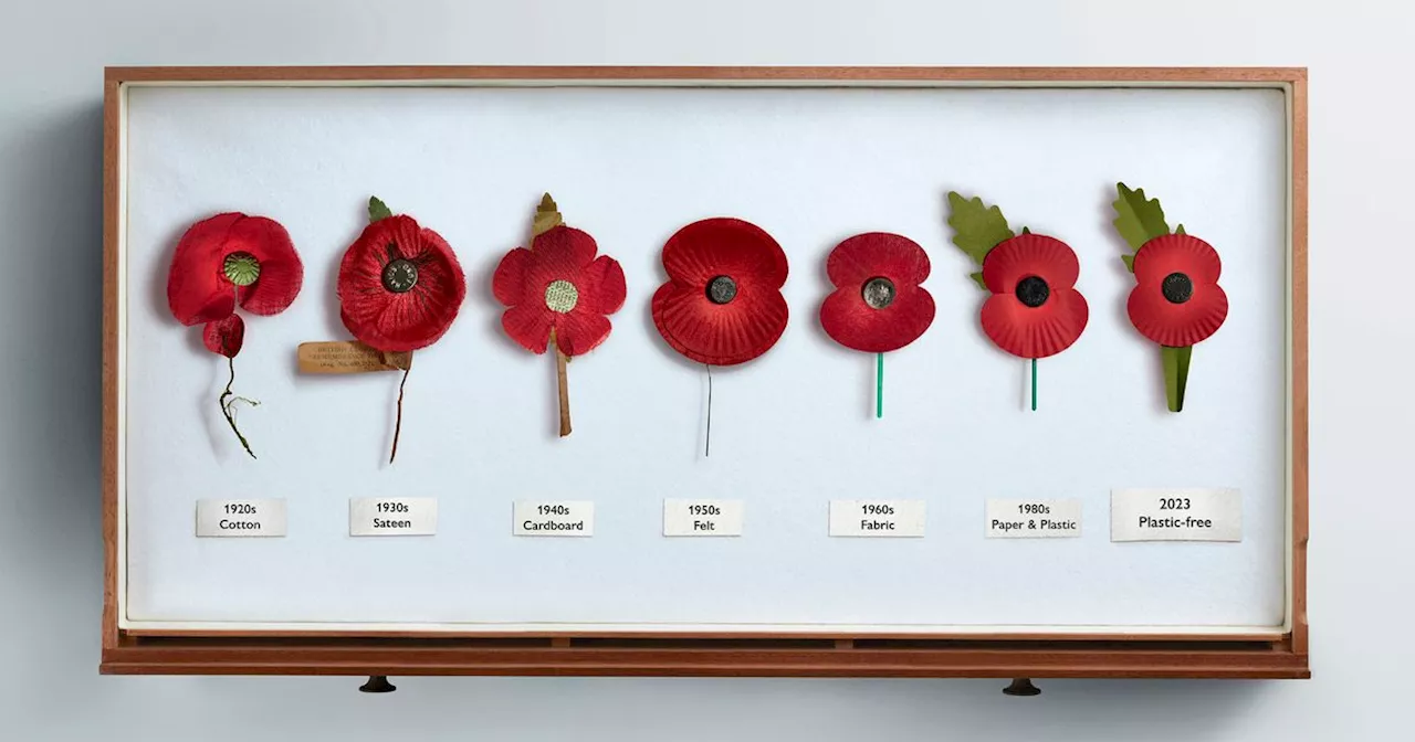 Remembrance poppies to be plastic free this year in major redesign