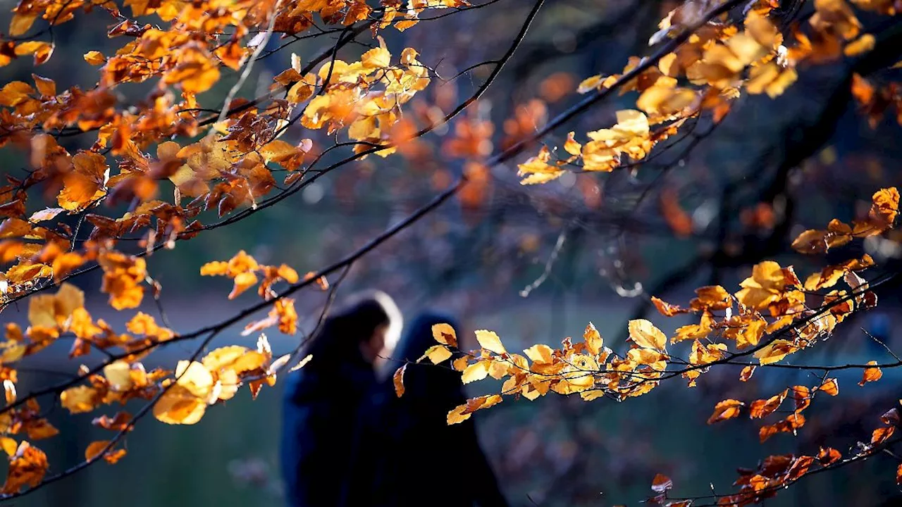 Berlin & Brandenburg: Herbstliches Wetter am Mittwoch mit Sonne und Wolken