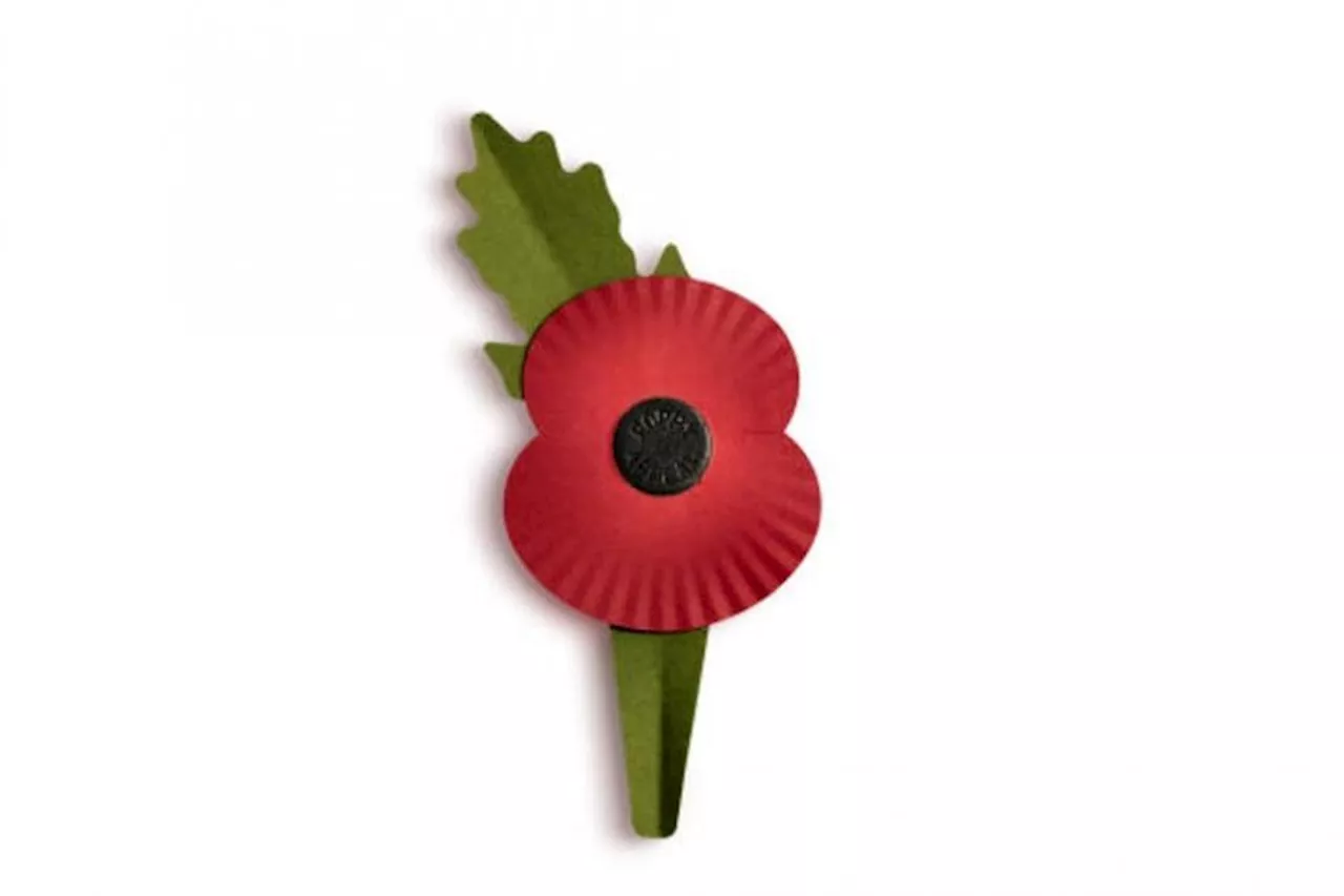 Remembrance poppies to be plastic free this year in major redesign