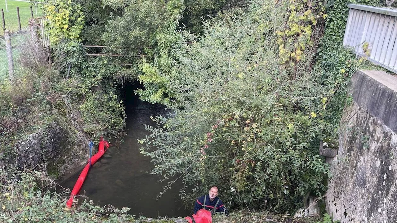 Une pollution aux hydrocarbures détectée sur la Sarthe