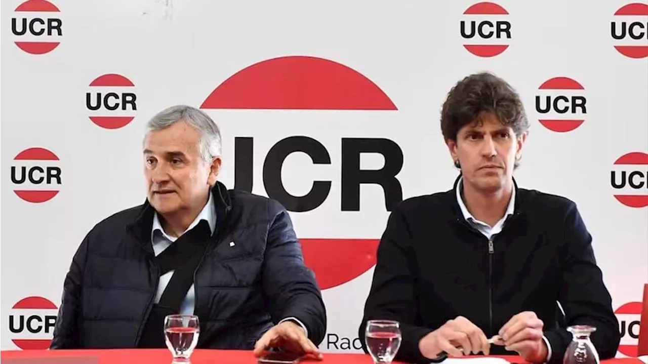 La UCR define la estrategia hacia el balotaje: Morales y Lousteau anticiparon que no apoyarán a ningún candida...