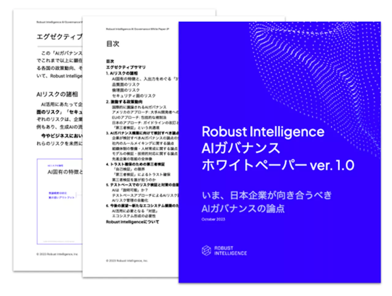 AIリスク対策を手がける米国発スタートアップ・Robust Intelligenceが「AIガバナンスホワイトペーパー ver. 1.0」を公表