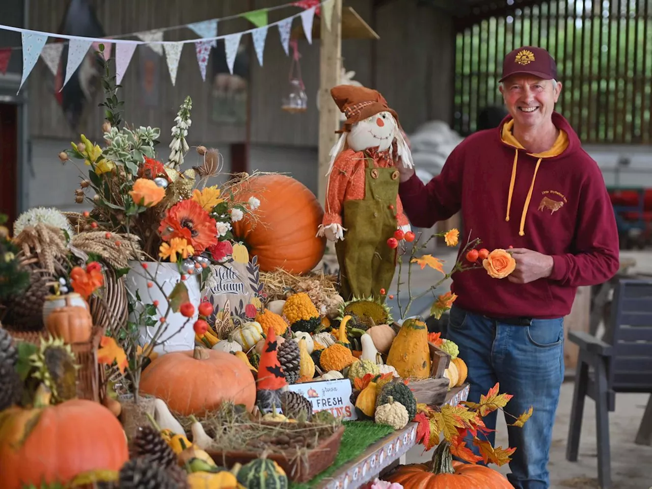 What's on this half-term: 16 events for families in Shropshire this spooky season