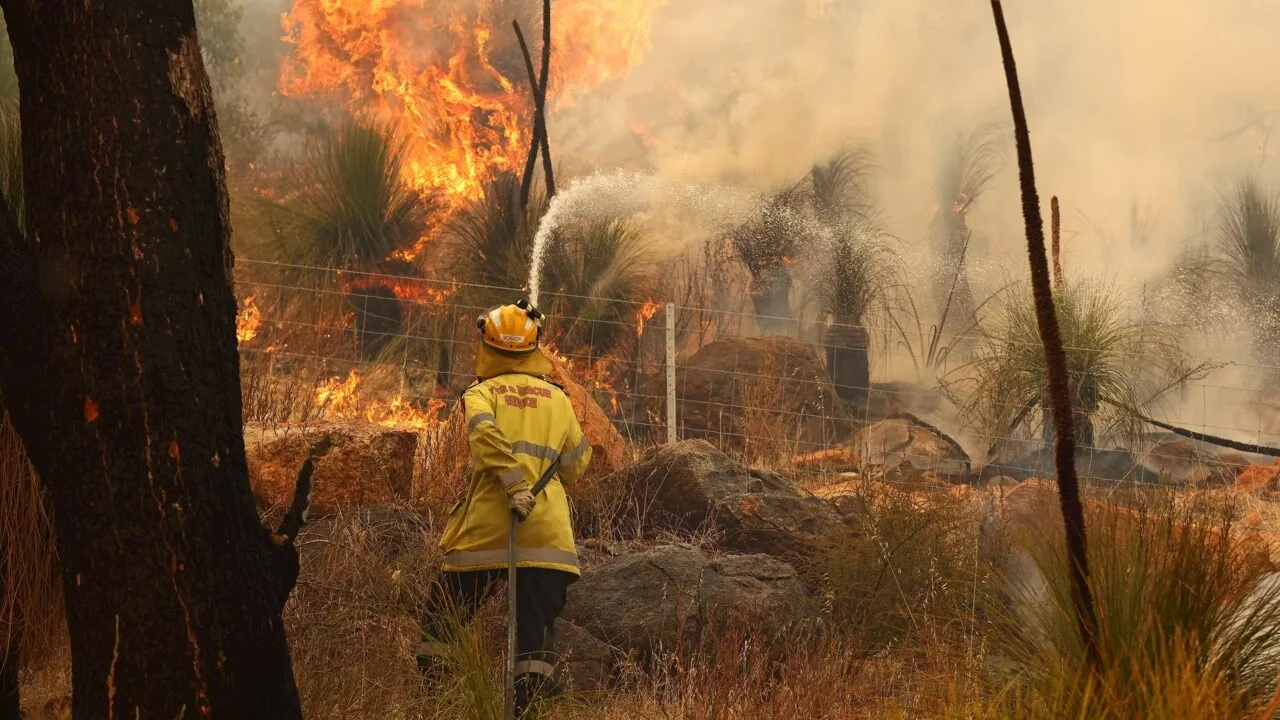 &#8216;Very distressing&#8217;: Tara resident shares devastating reality of QLD bushfires