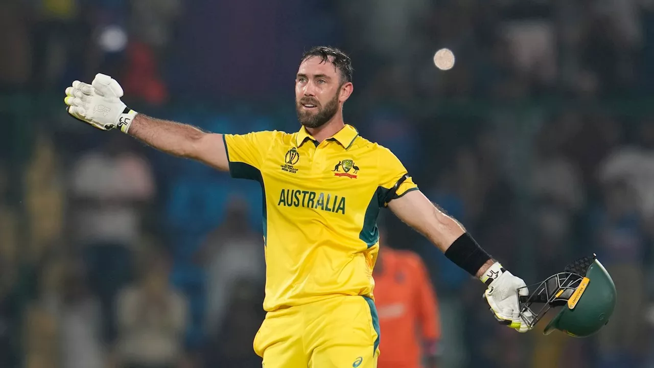 Cricket World Cup: Australia demolish Netherlands to claim World Cup-record 309-run win