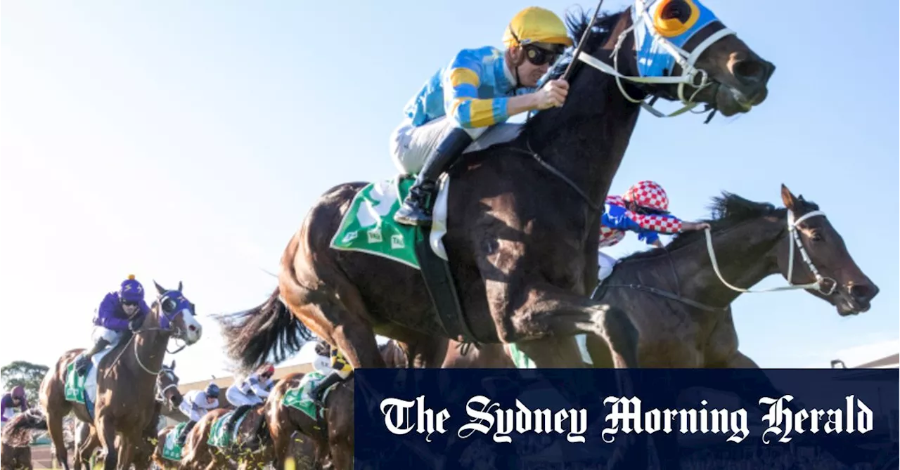 Race-by-race preview and tips for Gosford on Thursday