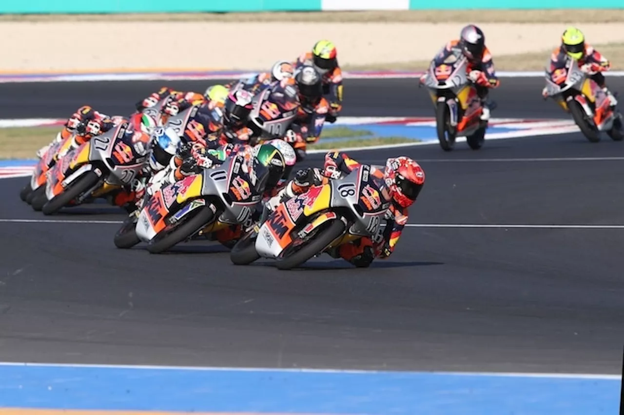 Red Bull Rookies Cup: Sieben Termine im nächsten Jahr