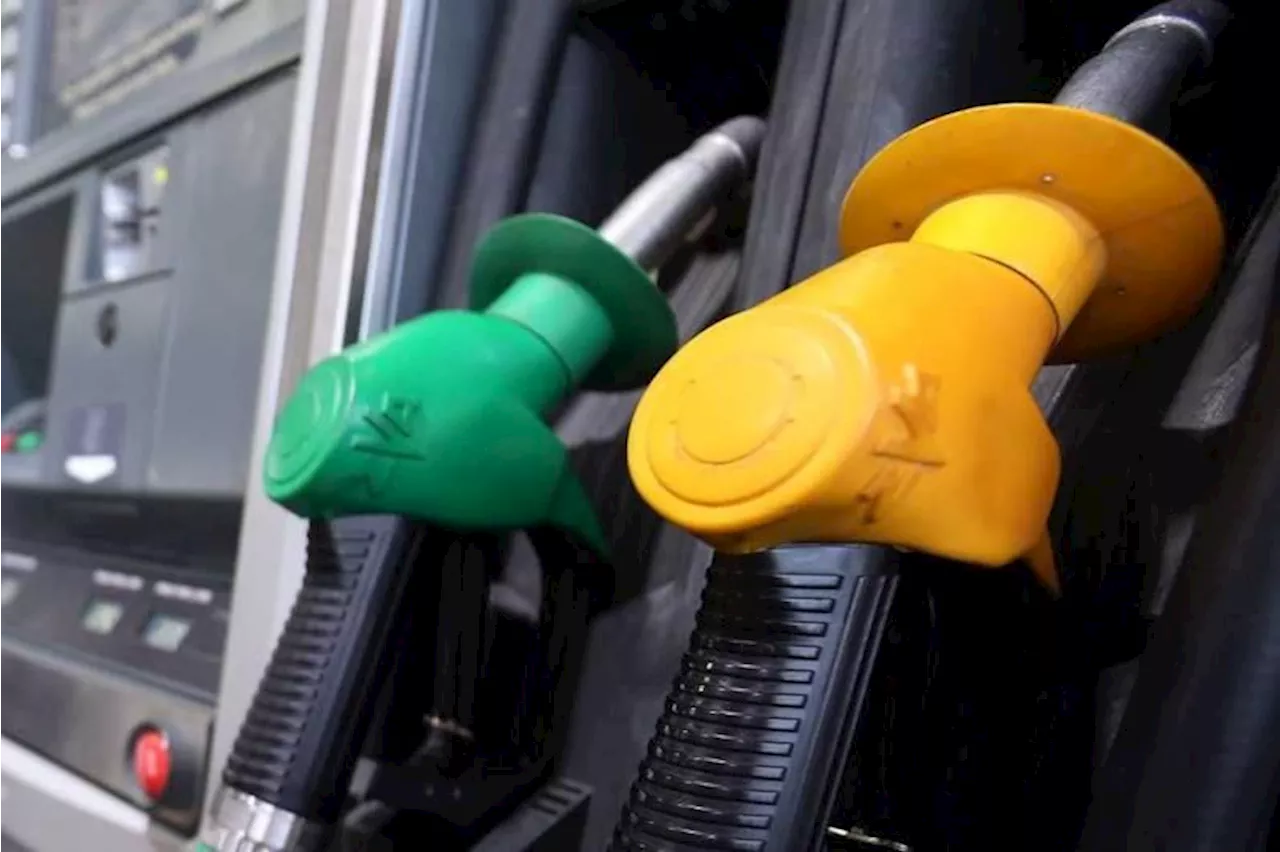 Fuel prices Oct 25-Nov 1: Unchanged across the board