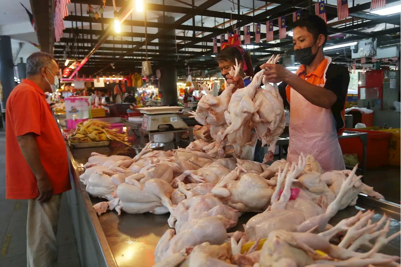 Price of chicken has continued to stabilise, says Deputy Minister