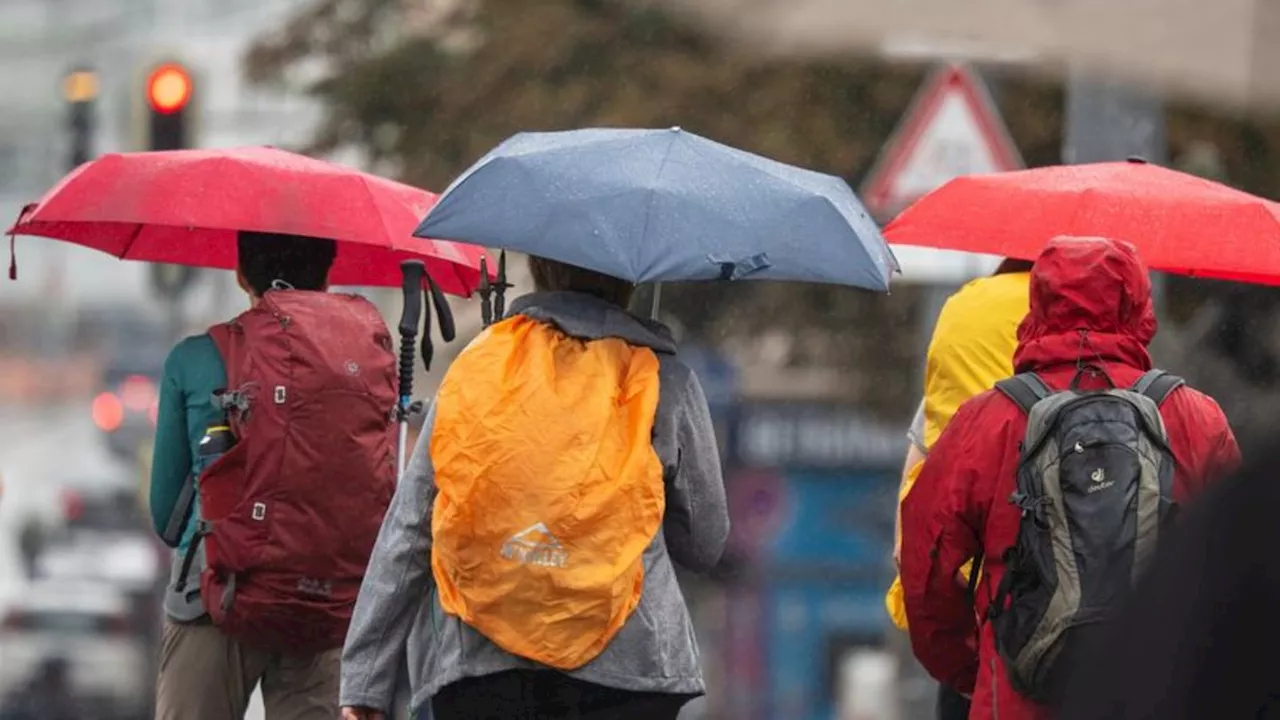 Wetter: Unbeständiges Wetter im Südwesten: Dauerregen im Schwarzwald