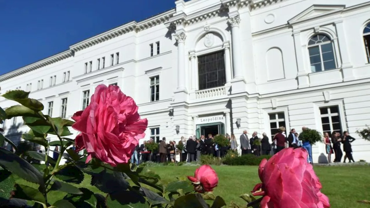 Wissenschaft: Sehen und Entdecken: Silbersalz-Festival startet in Halle