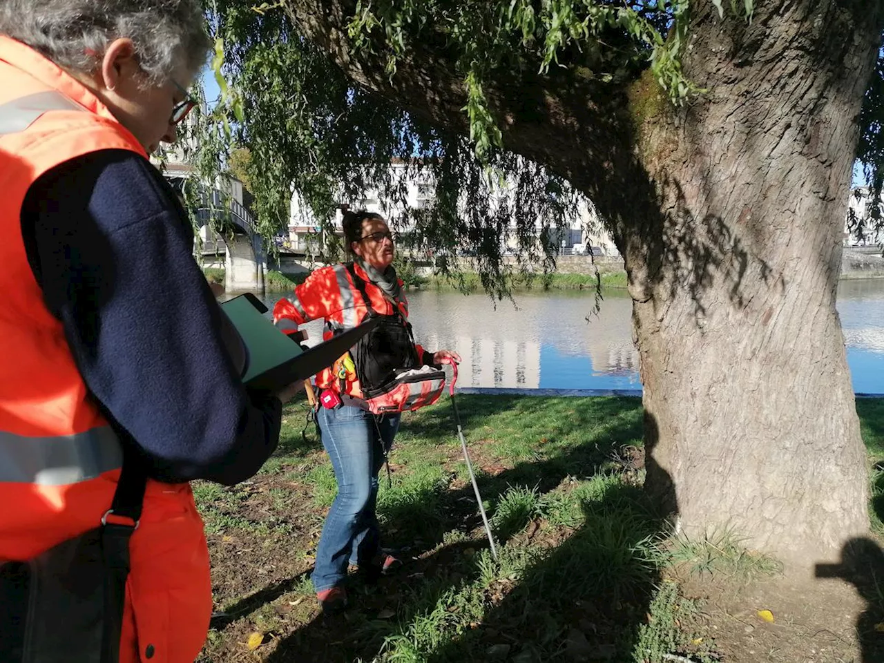 Saintes : comment protéger les arbres et ceux qui passent en dessous