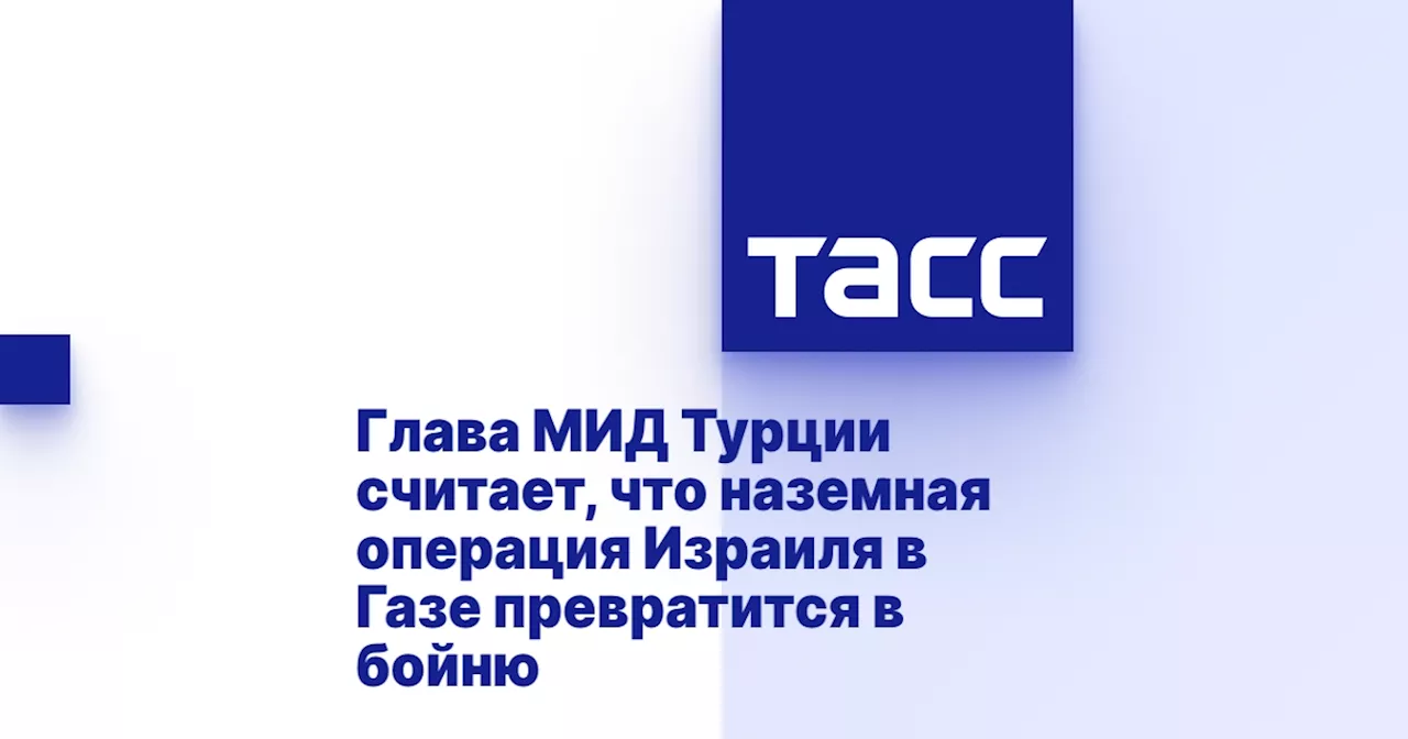 Глава МИД Турции считает, что наземная операция Израиля в Газе превратится в бойню