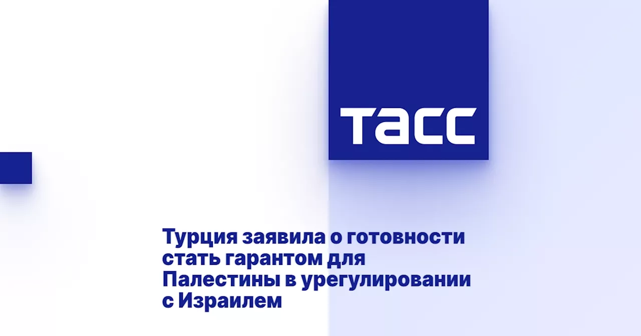 Турция заявила о готовности стать гарантом для Палестины в урегулировании с Израилем