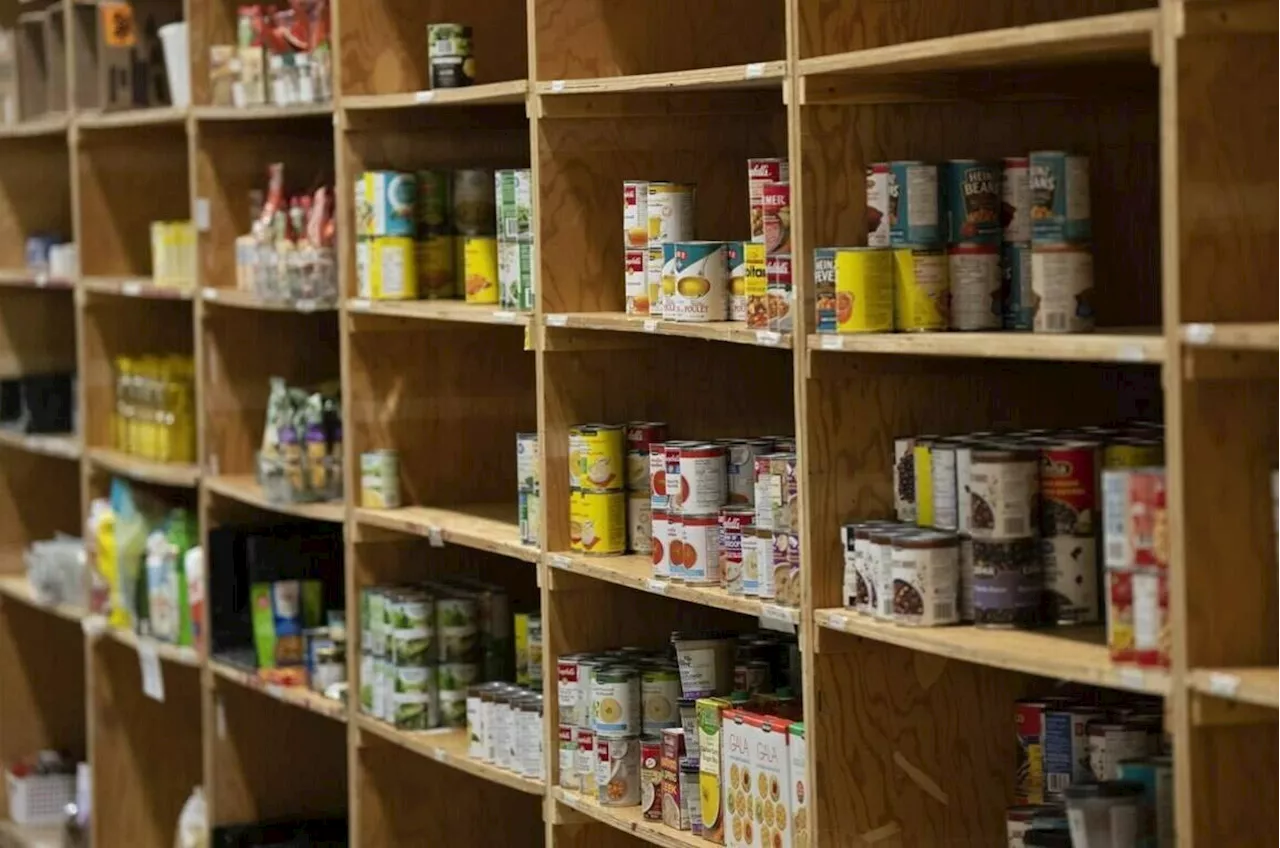 ‘Haven’t eaten in days’: Canada’s food banks reporting massive spike in demand