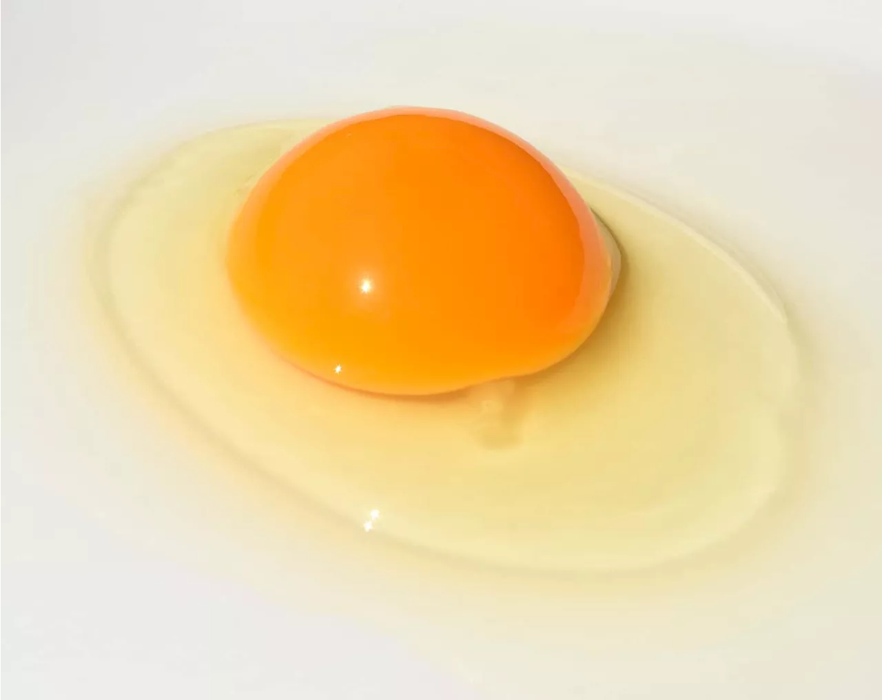 How to survive the eggs shortage