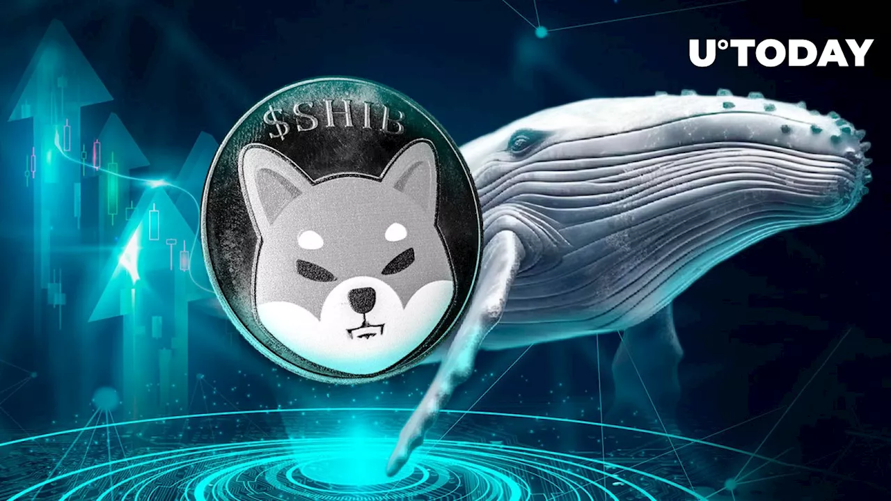 Mysterious Whale Invests $444,000 in SHIB as Shiba Inu Price Eyes 118% Upside