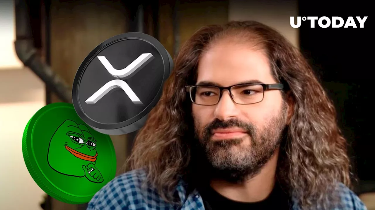 Ripple CTO Surprises XRP and PEPE Communities With Cryptic Tweet