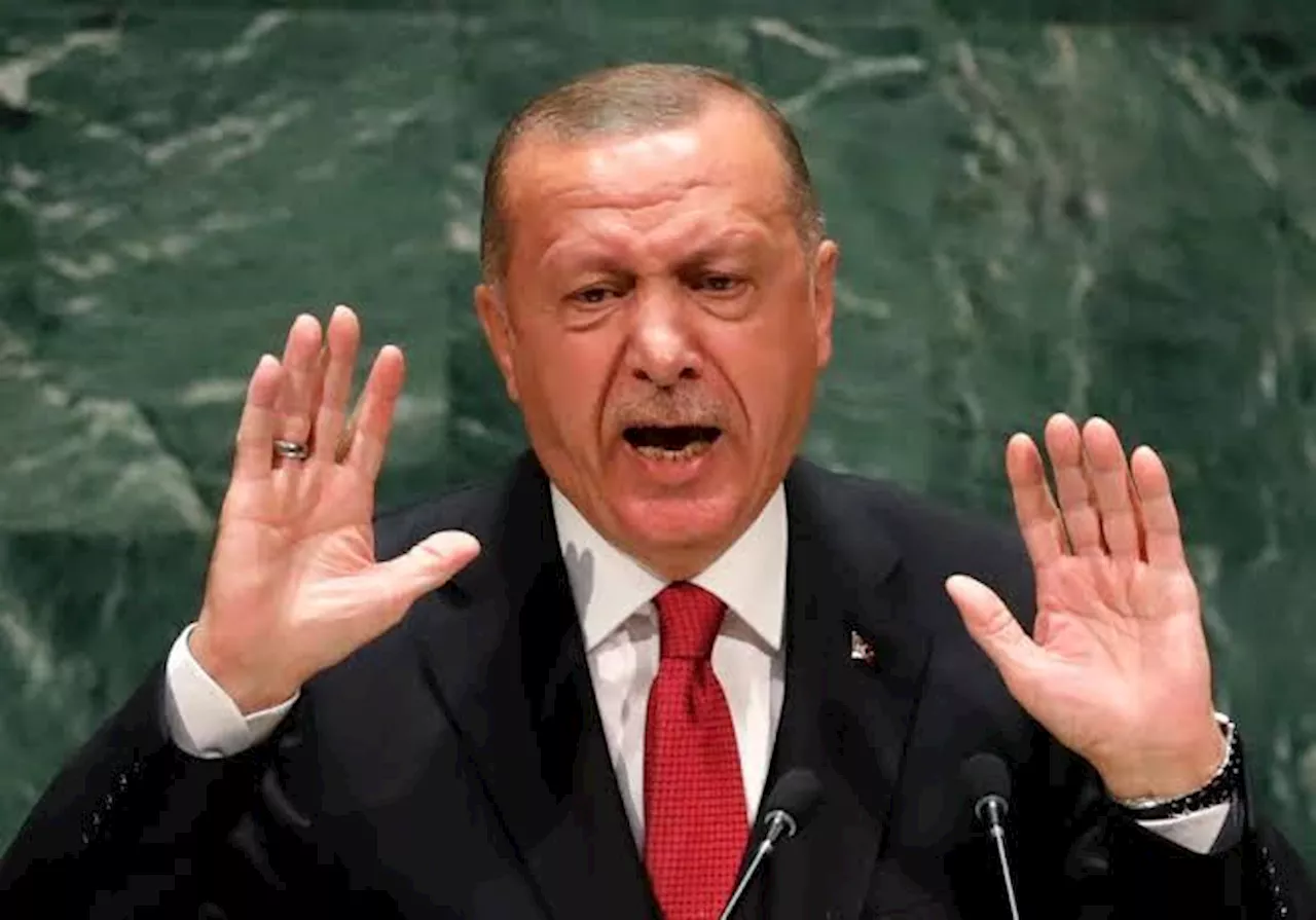 Hamas is not terrorist organisation – Erdogan, Turkey’s President