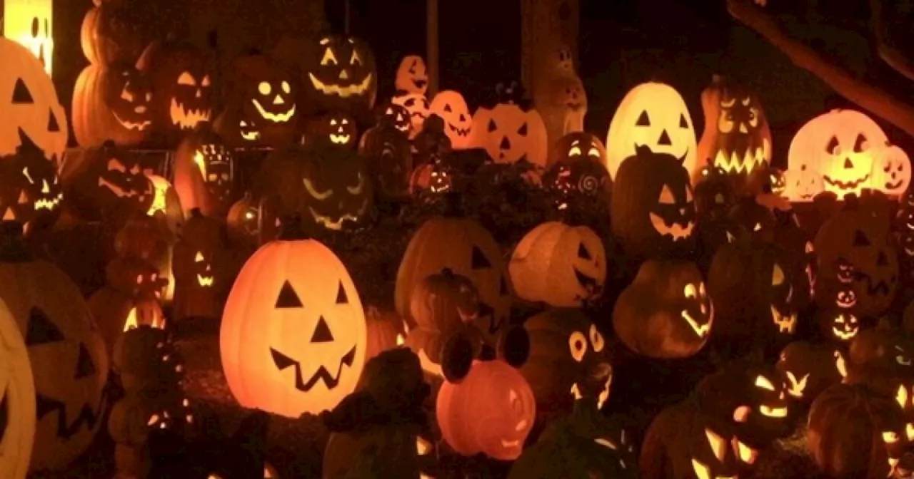 MAP: Halloween events around San Diego County