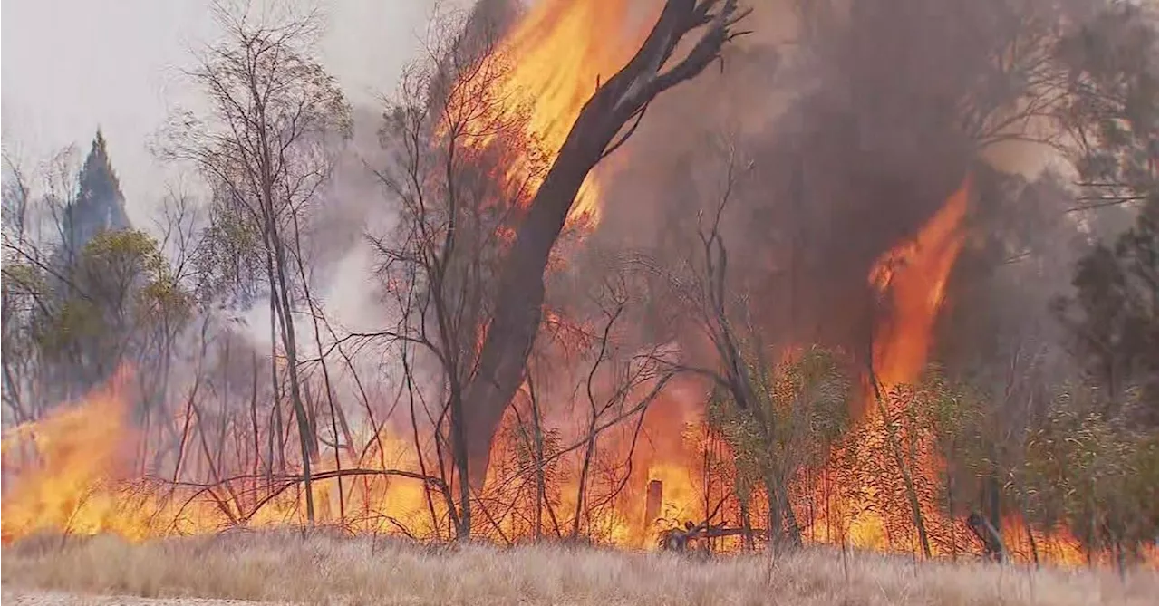 Bushfire emergency ramps up across southern Queensland