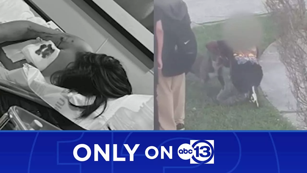 Aldine ISD students recall terrifying moments when dog attacked several people on school bus