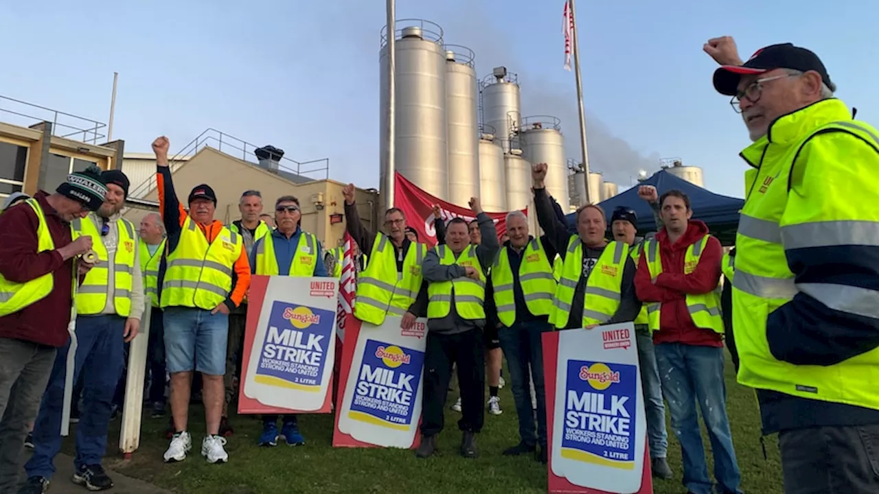 Victorian dairy strike over after unions broker pay rise for 1,400 factory workers