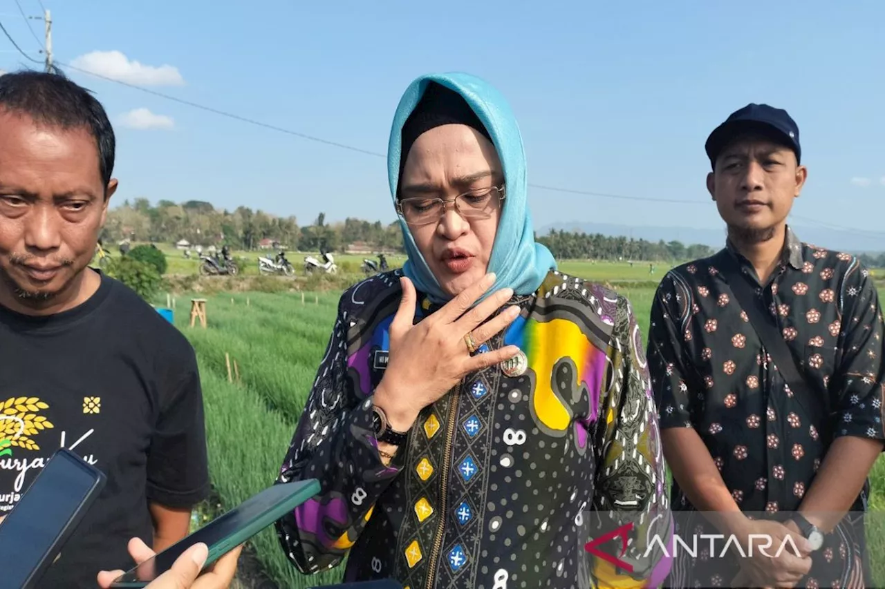 Pemkab Kulon Progo-DIY ajukan PK atas PBB-P2 Angkasa Pura Rp28 miliar