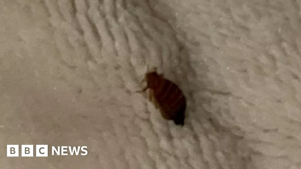 Mum finds bed 'infested' with bedbugs at Butlin's Skegness