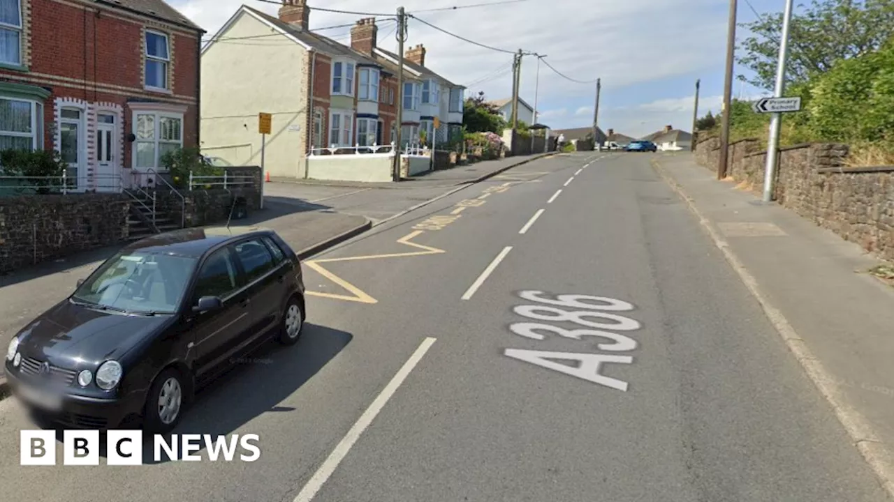 New zebra crossing near Devon school despite opposition