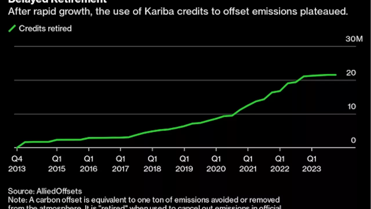 Carbon Investors Risk Losses Tied to Mega-Project, Trader Says