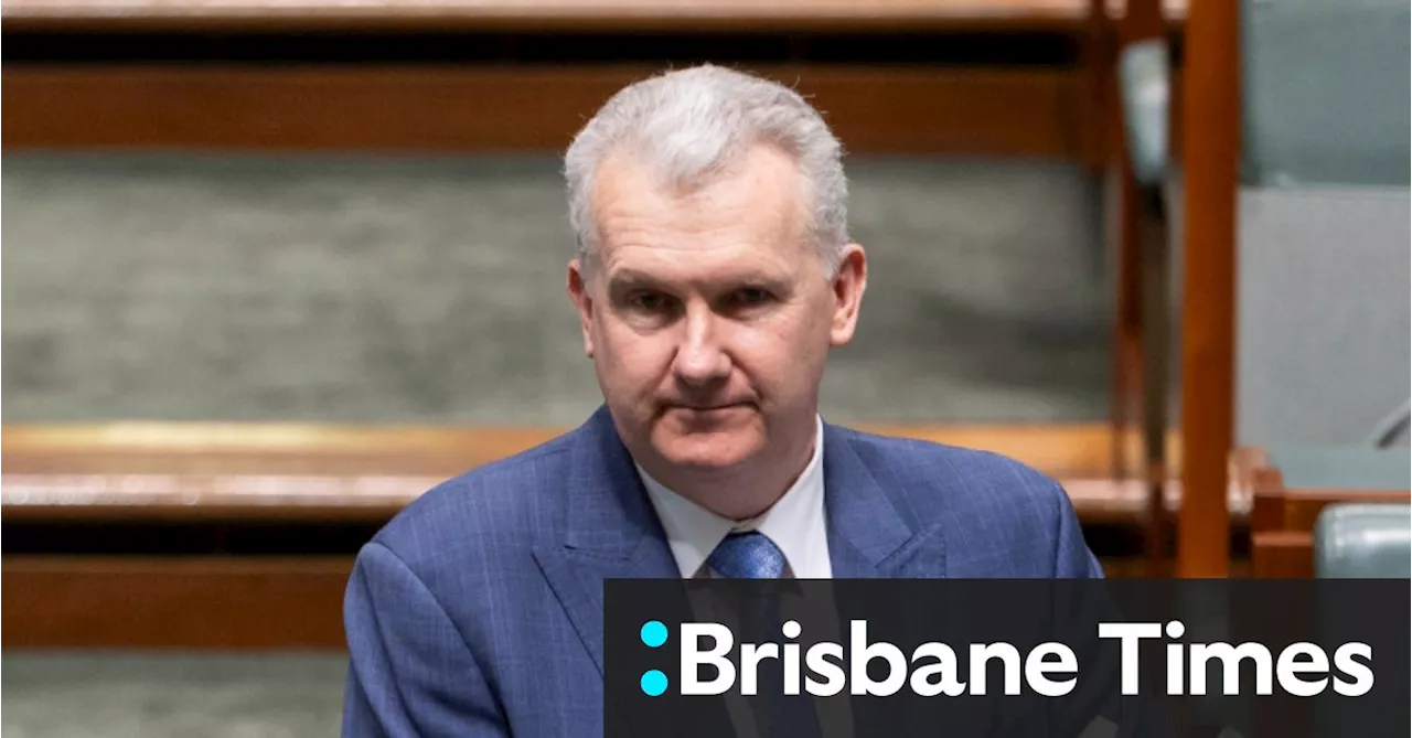 Tony Burke supports flying Palestinian flag, cautions against ‘competitive grief’