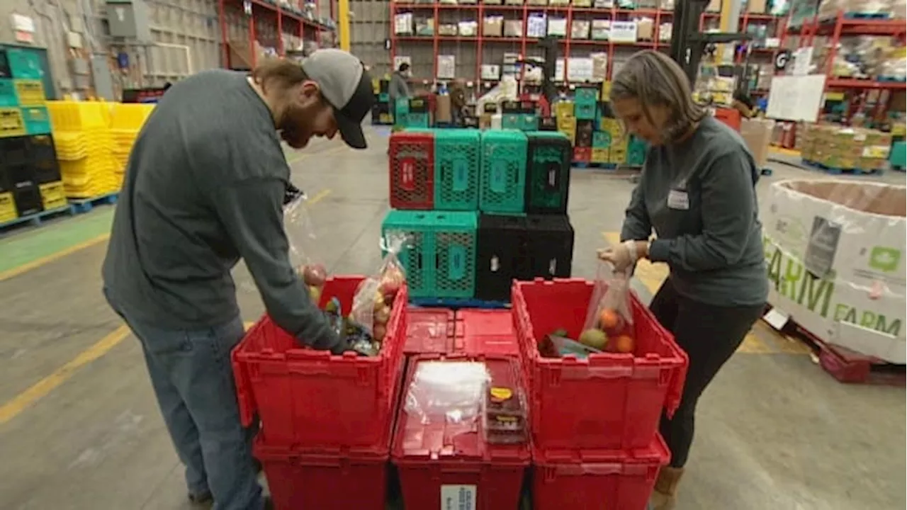 Calgarians 'can't make ends meet' as national food bank use hits highest recorded level