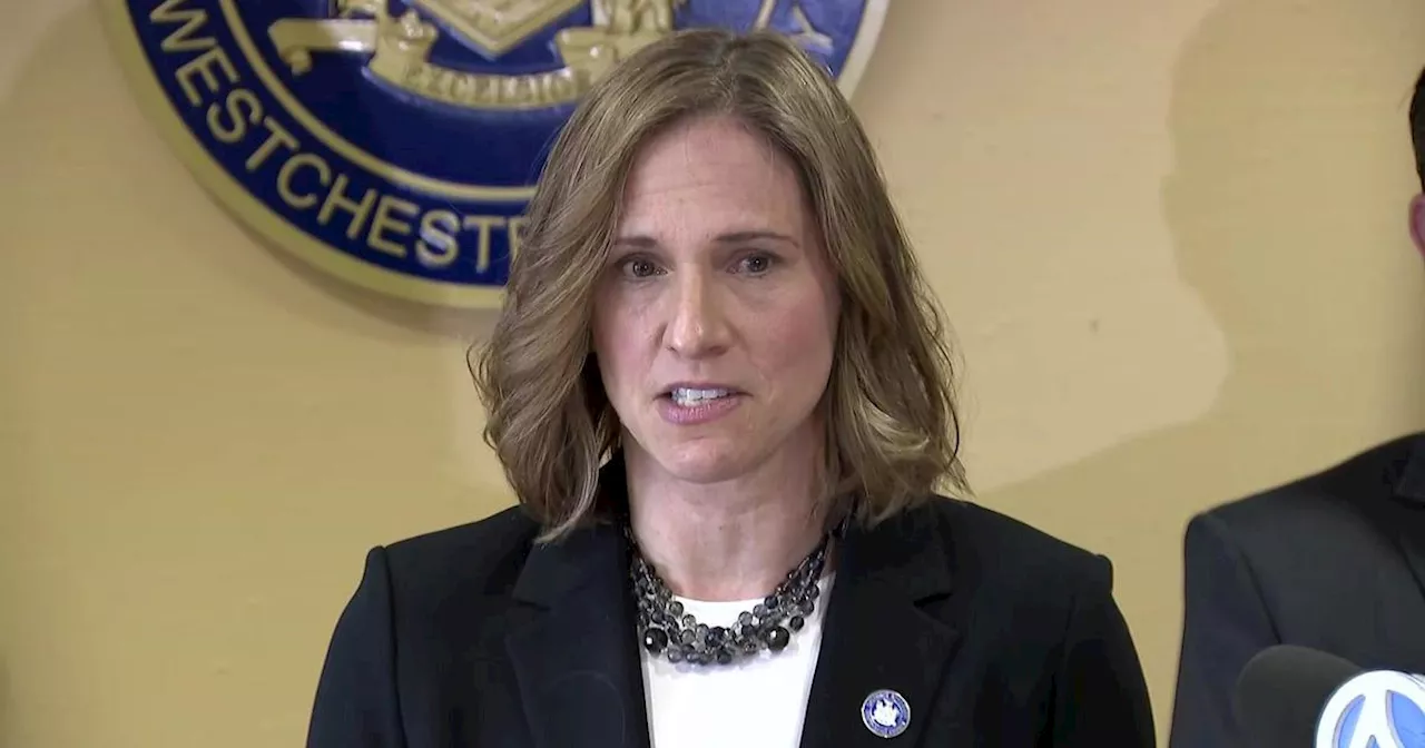 Westchester County District Attorney Mimi Rocah not running for re-election in 2024