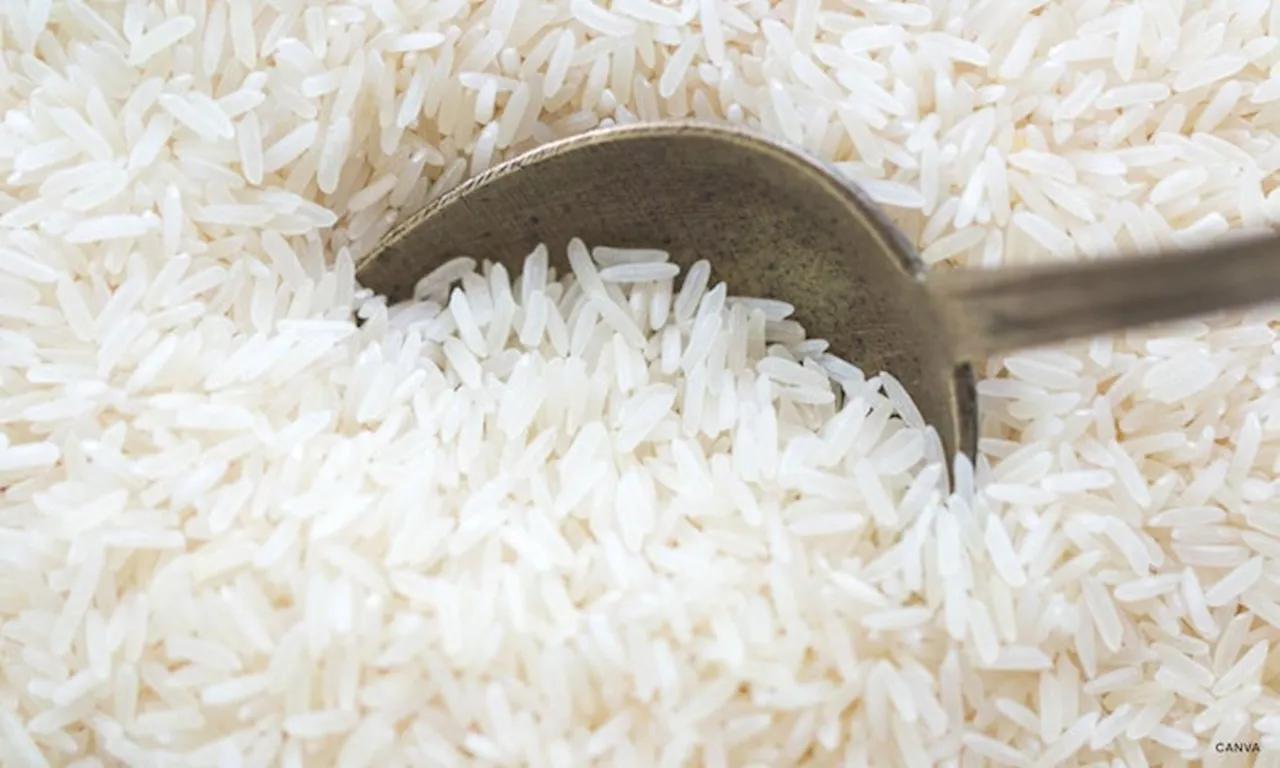 ₱20/kilo rice for indigent Cebuanos soon to be sold in popup stores