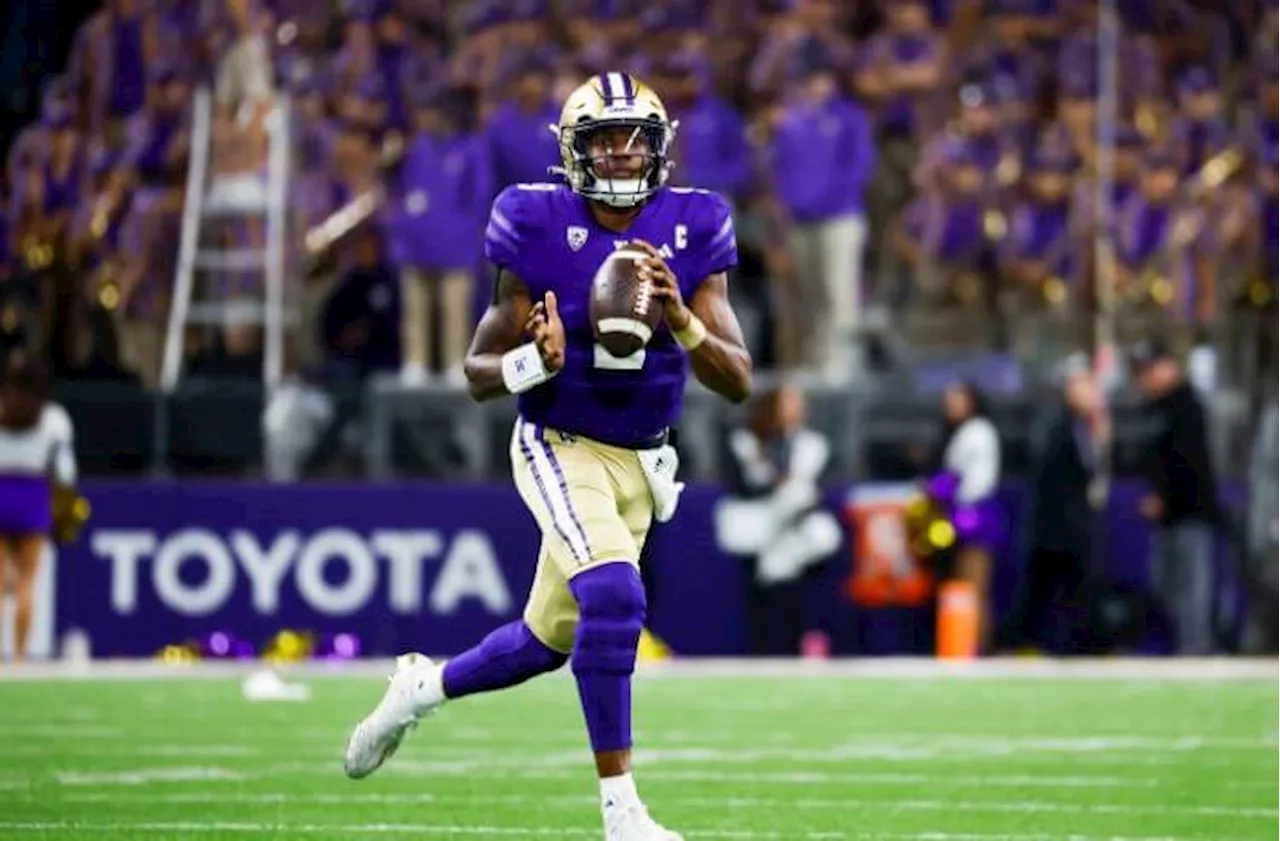 Washington vs Stanford Odds, Picks, and Predictions: Big Old Husky Performance