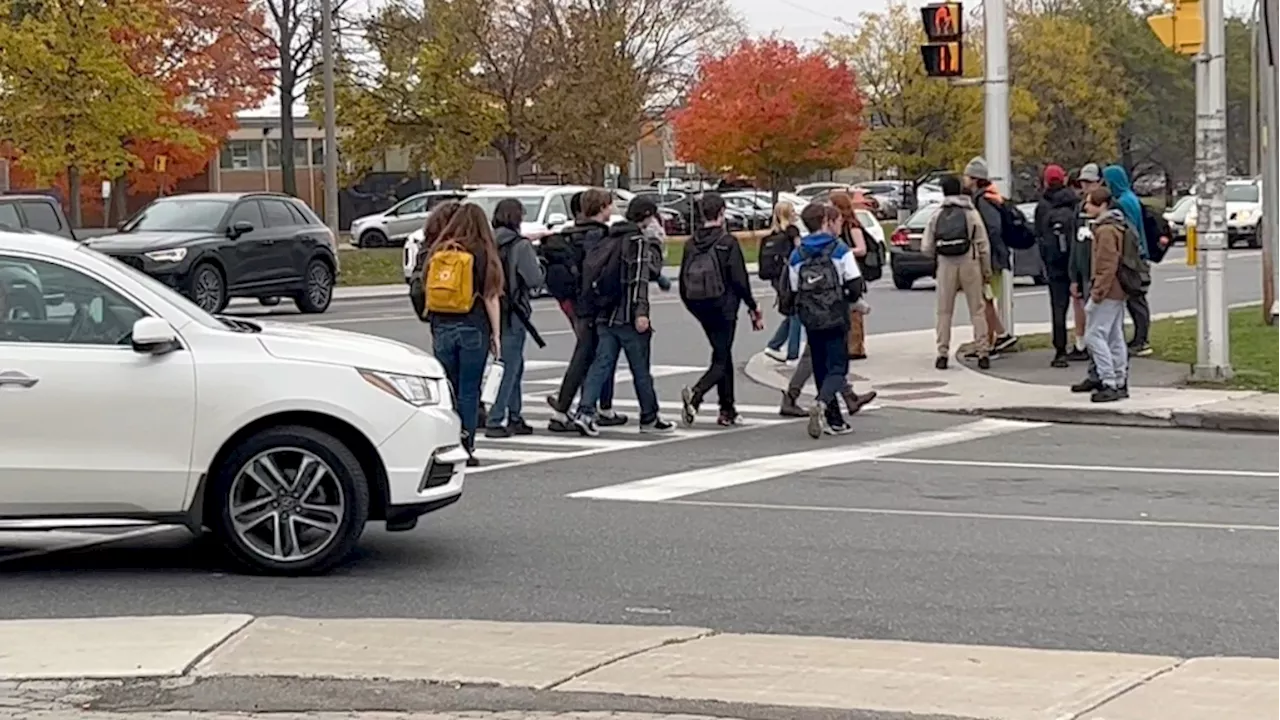 Ottawa councillor, organizations push for change at Merivale Road intersection