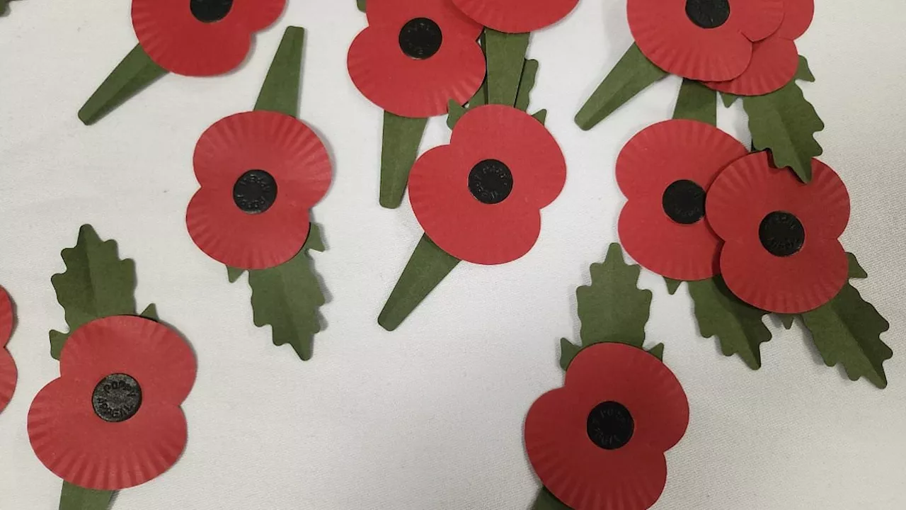 Remembrance poppies go plastic free: Royal British Legion launches new recyclable paper design -...