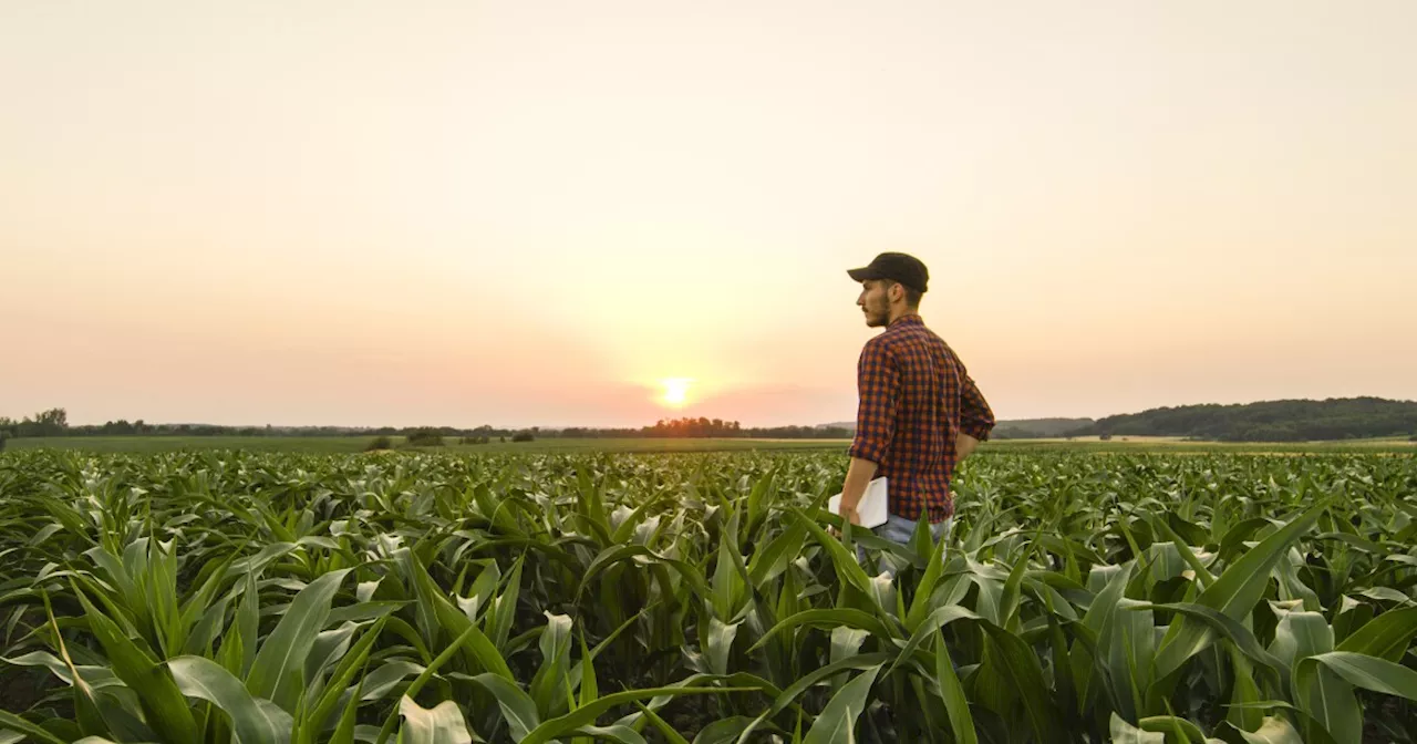 A Texas farmer’s fight for justice could have major implications for property rights