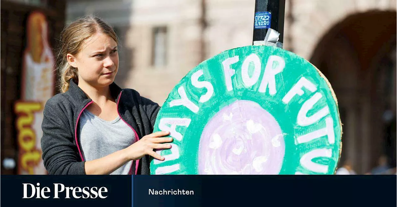 Israelfeindlicher Post von Fridays for Future sorgt für Aufregung