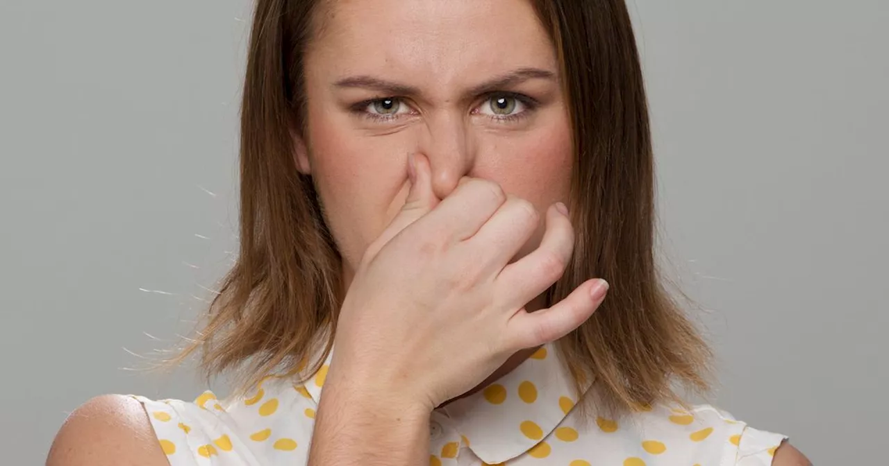 Woman's warning after finding out why room smelt like fish