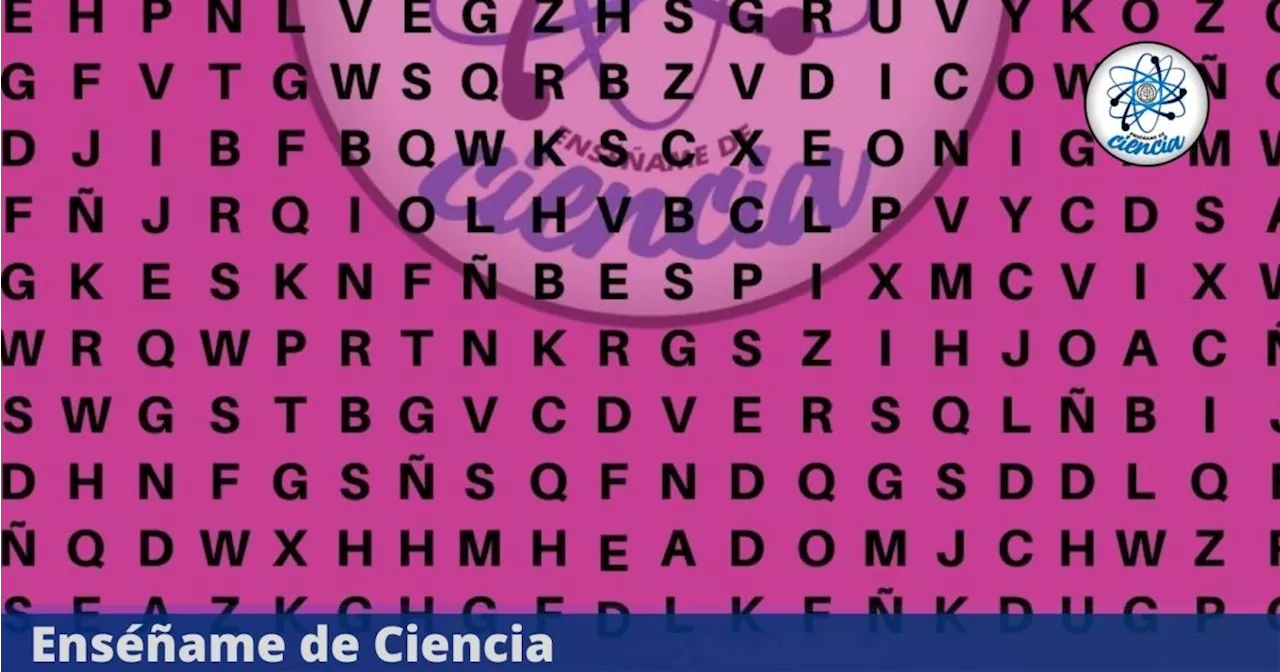 Acertijo visual para GENIOS: Ubica la palabra LLUVIA en la sopa de letras; tienes 3 segundos