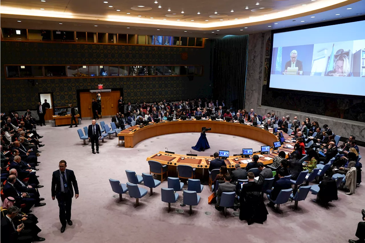 US, Russian bids on Israel-Hamas war fail at Security Council