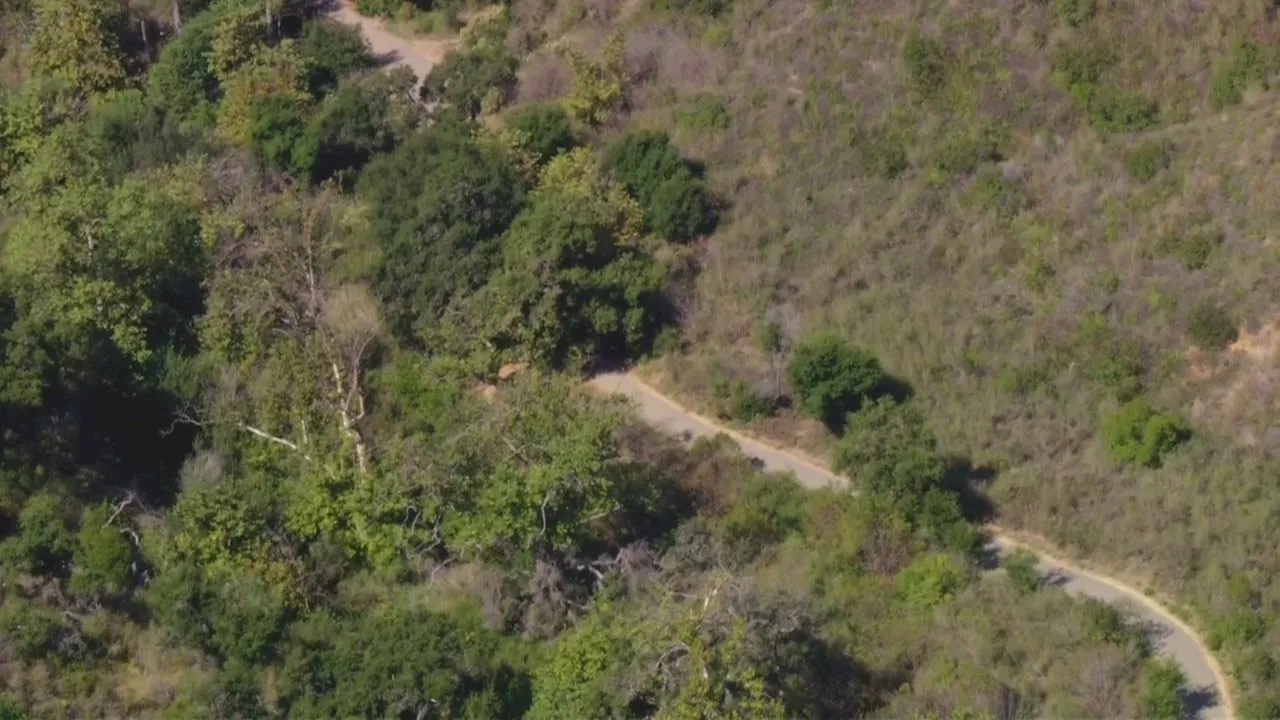 Mountain lion attacks small dog, owner walking in Solstice Canyon