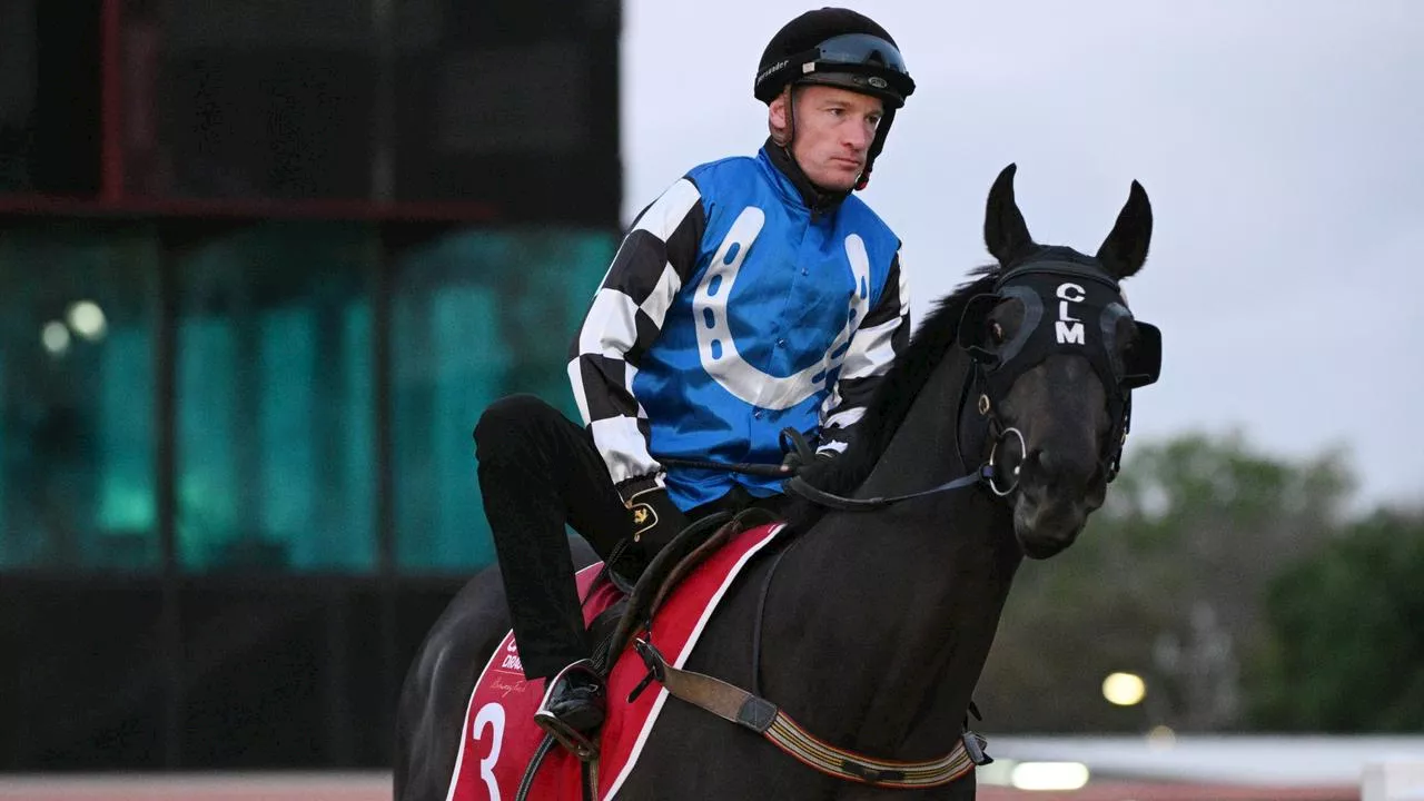 Why Cup winner can topple favs and the $26 roughie in top 3 mix — Cox Plate form guide