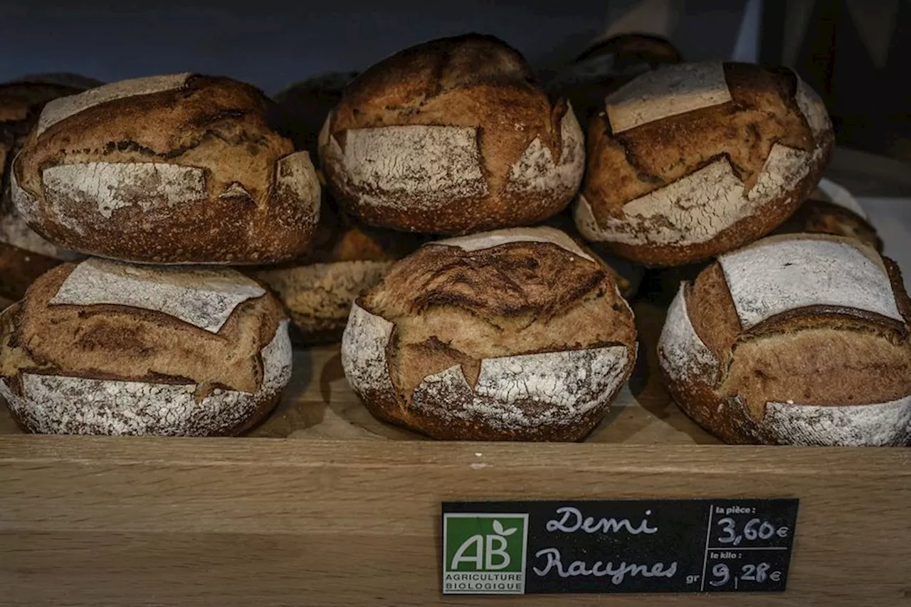 Dans cette petite commune du Puy-de-Dôme, 2 projets de boulangerie se font concurrence